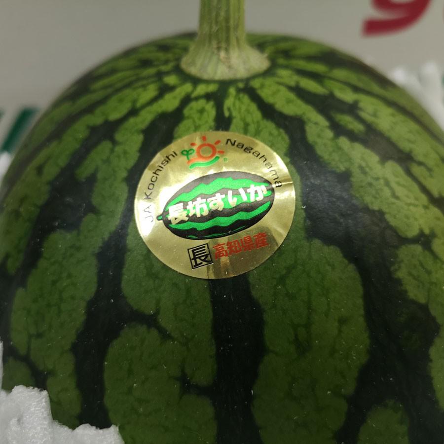 長坊すいか 高知県産 なが坊スイカ 約10kg 3個入り : 土佐うまいもん