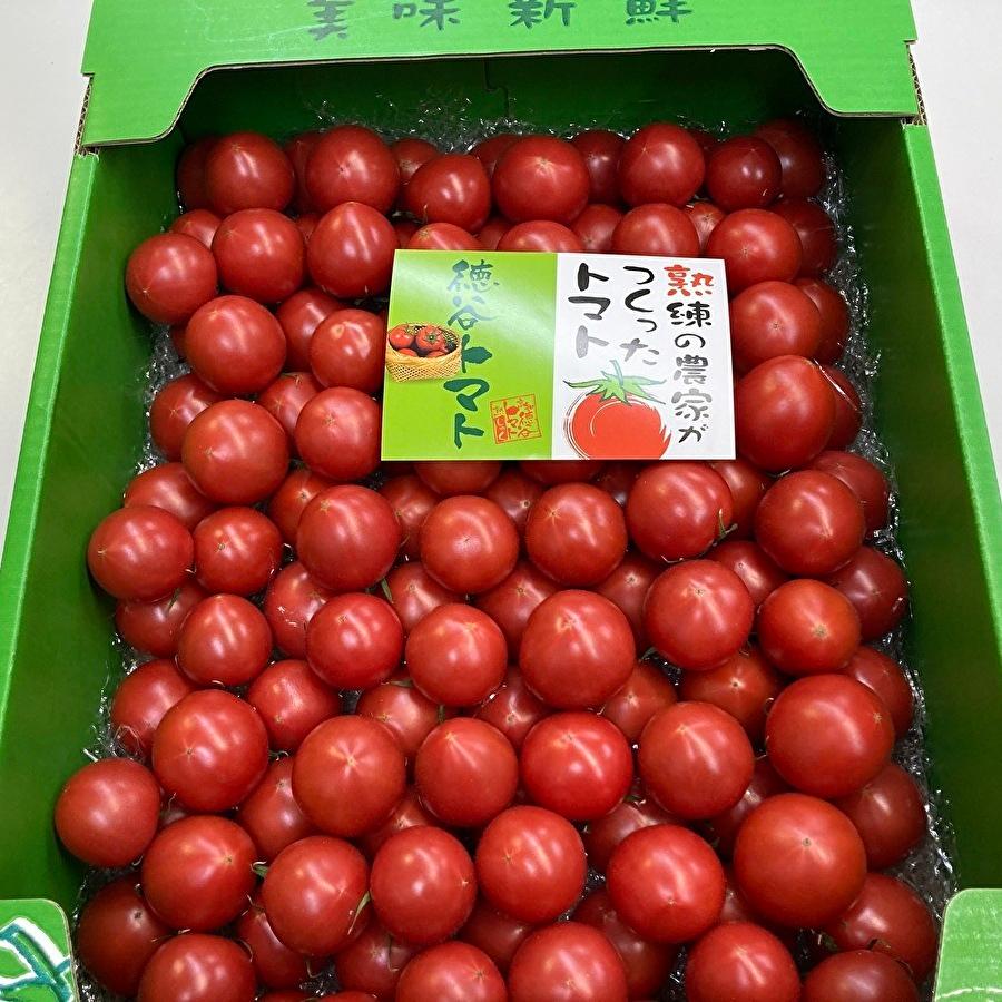 お買い得 たっぷり4kg 高知県産 徳谷トマト フルーツトマト 上品