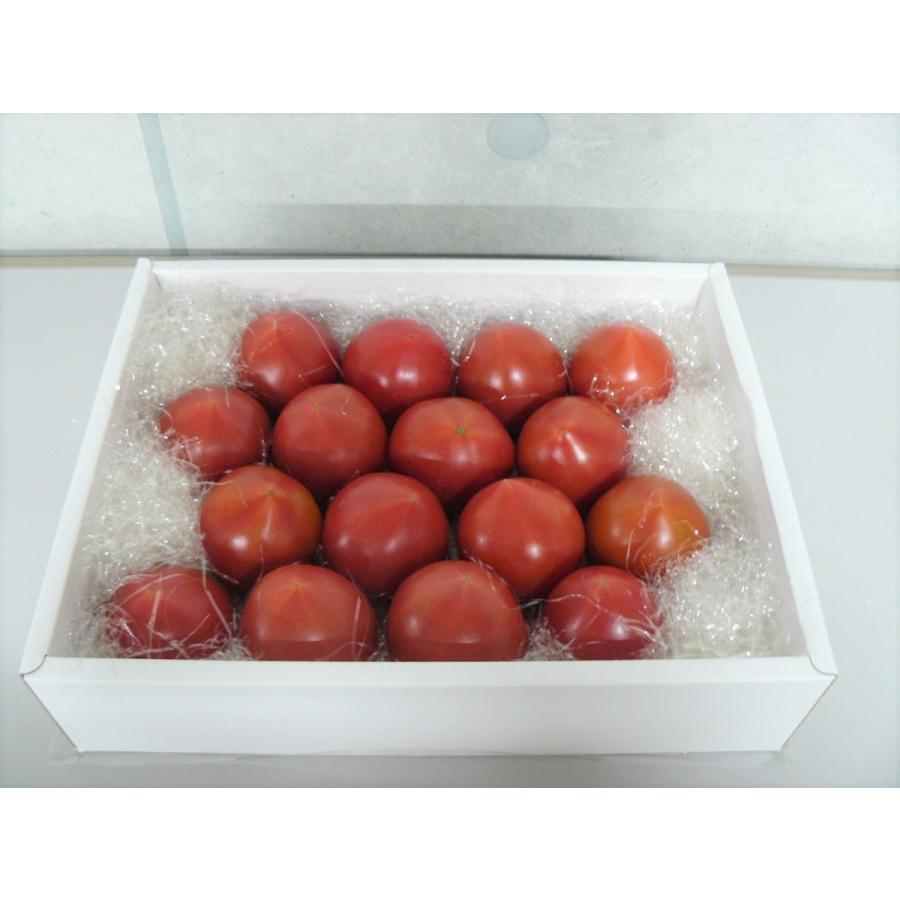 高知県産 ギフト用徳谷トマト フルーツトマト 約1kg X 2箱セット Tomato 004 土佐うまいもん市場カウウル 通販 Yahoo ショッピング