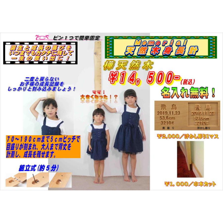 保安隊。自衛隊。昔のスキー指導官バッジ。北部方面隊。vintag