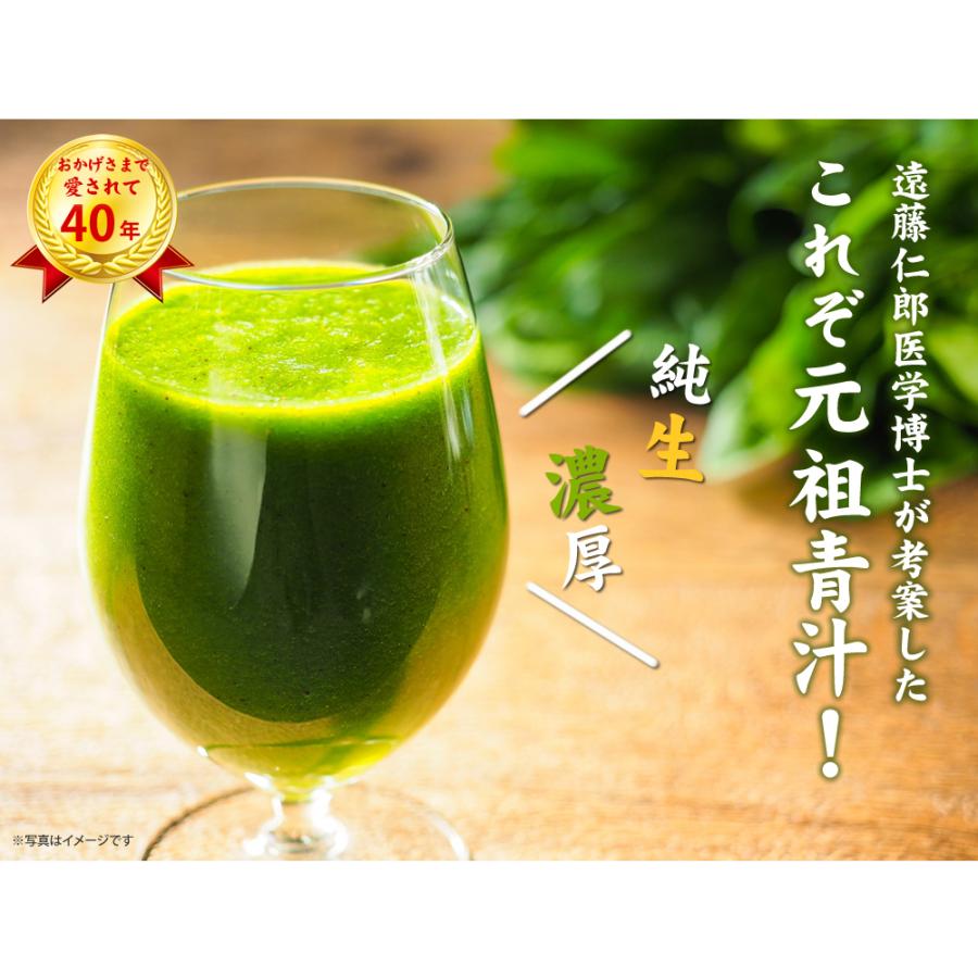 遠藤青汁【固形青汁】(5g×30包) 国産ケール100％ ギフト プレゼント