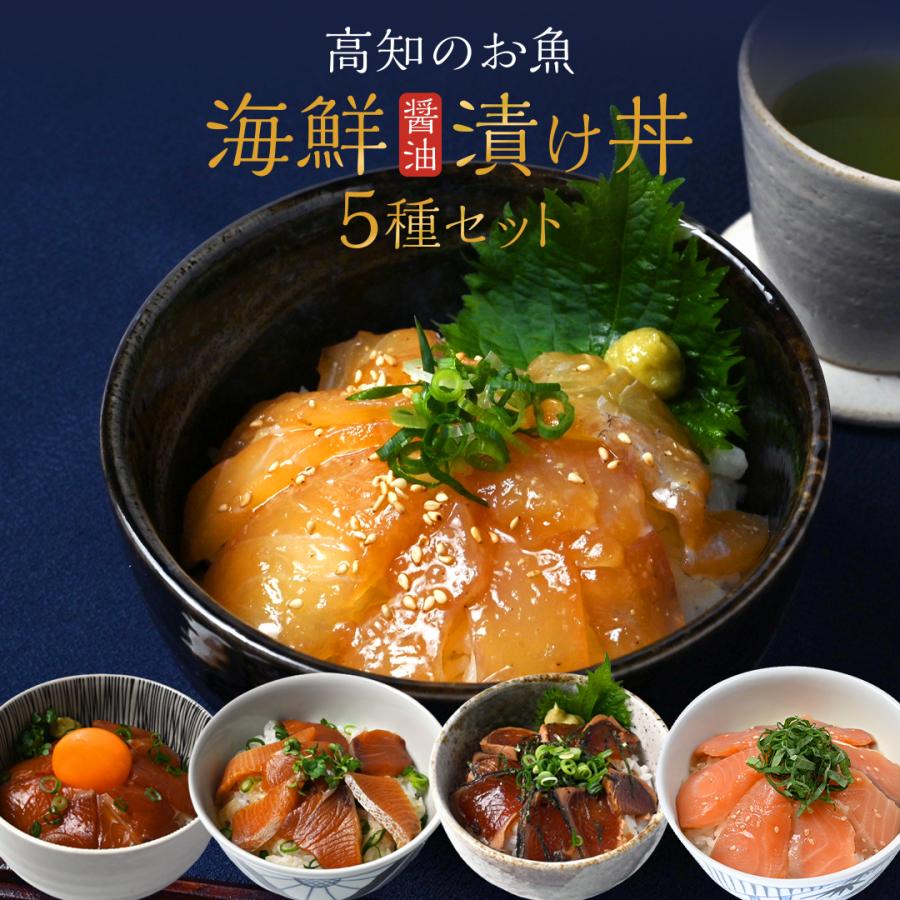 海鮮丼 5種 【 送料無料 】 海鮮 ギフト お取り寄せ 魚 刺身 高知 海鮮 実用的 海鮮 鯛 カンパチ ブリ 鰹 サーモン海産物 の商品画像