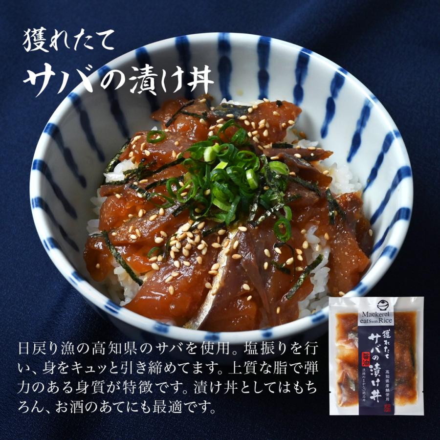 父の日 海鮮丼 5種 【 送料無料 】 海鮮 ギフト お取り寄せ お取り寄せ魚 刺身 高知 海鮮 実用的 海鮮 カンパチ ブリ 鰹 サバ 海産物｜tosachinmi｜11