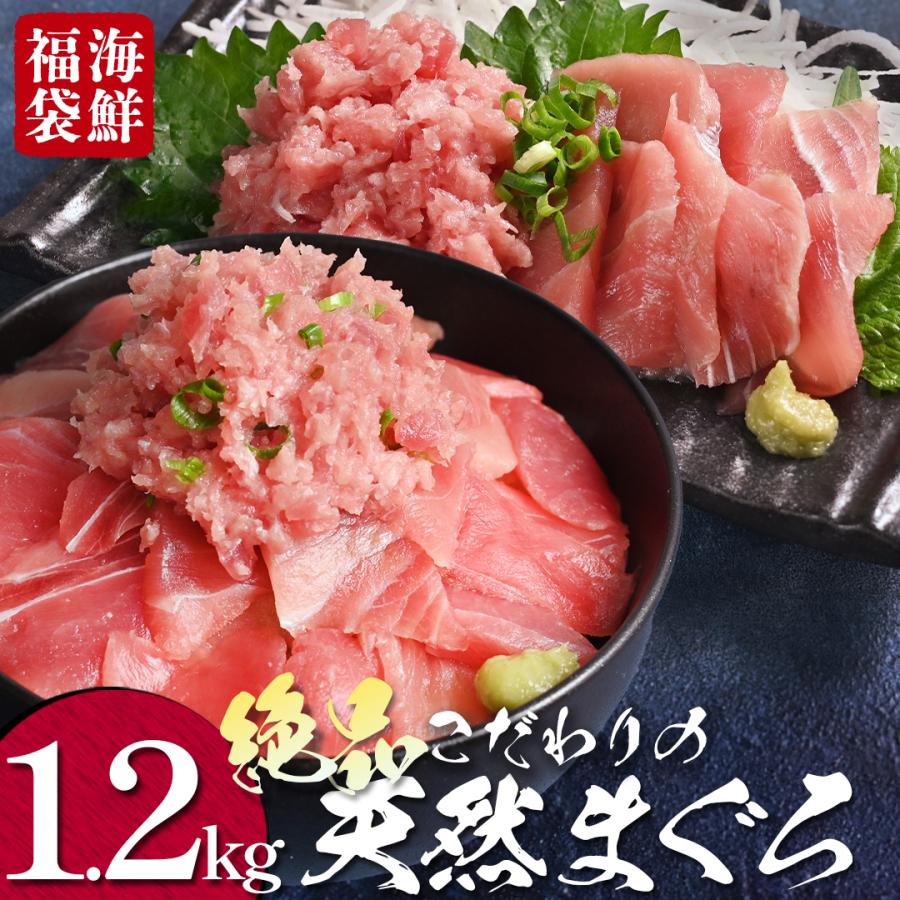 父の日 早割 で4,980円 天然 まぐろ マグロ 1.2kg 国産 めばちまぐろ 個包装 小分けパック 切り落とし たたき 赤身 海鮮 海の幸 魚 魚介 父の日 プレゼント｜tosachinmi｜12