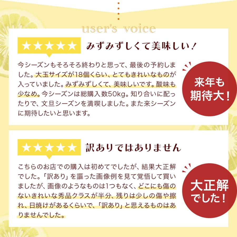 送料無料 大玉 土佐 文旦 訳あり 土佐文旦（露地） 10kg サイズ(3L／4L