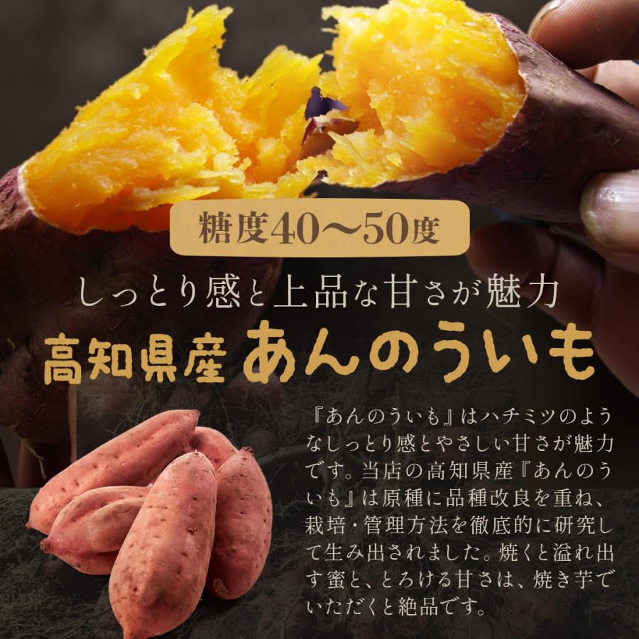 訳あり 高知県産 あんのういも 約1.5kg 2箱購入で 送料無料 3箱購入で
