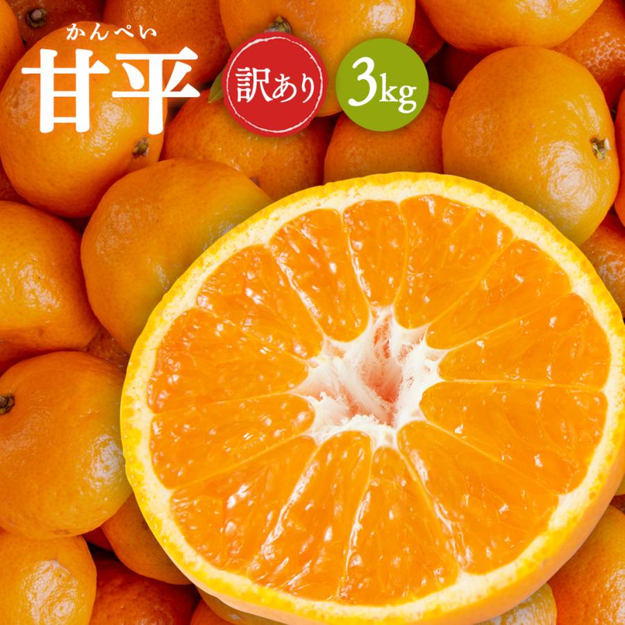 訳あり 甘平 かんぺい 3kg 【 送料無料 】 みかん 訳アリ 愛媛みかん