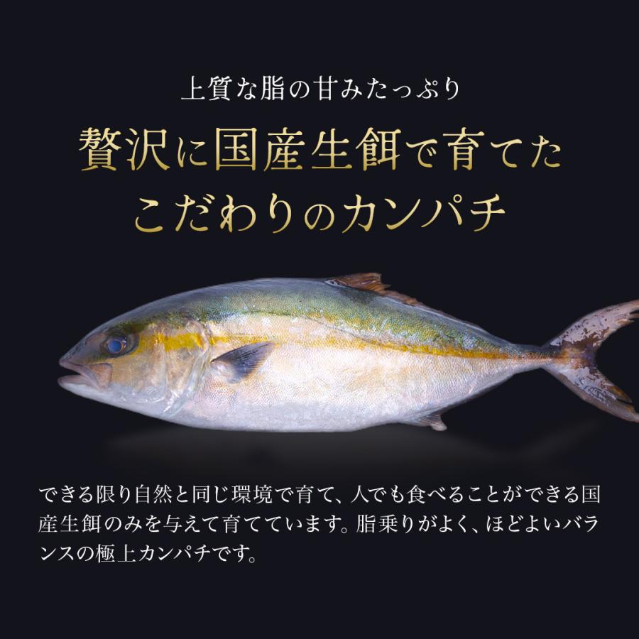 土佐 藁焼き カンパチ 勘八 たたき セット 冷凍 かんぱち 1節 魚 刺身