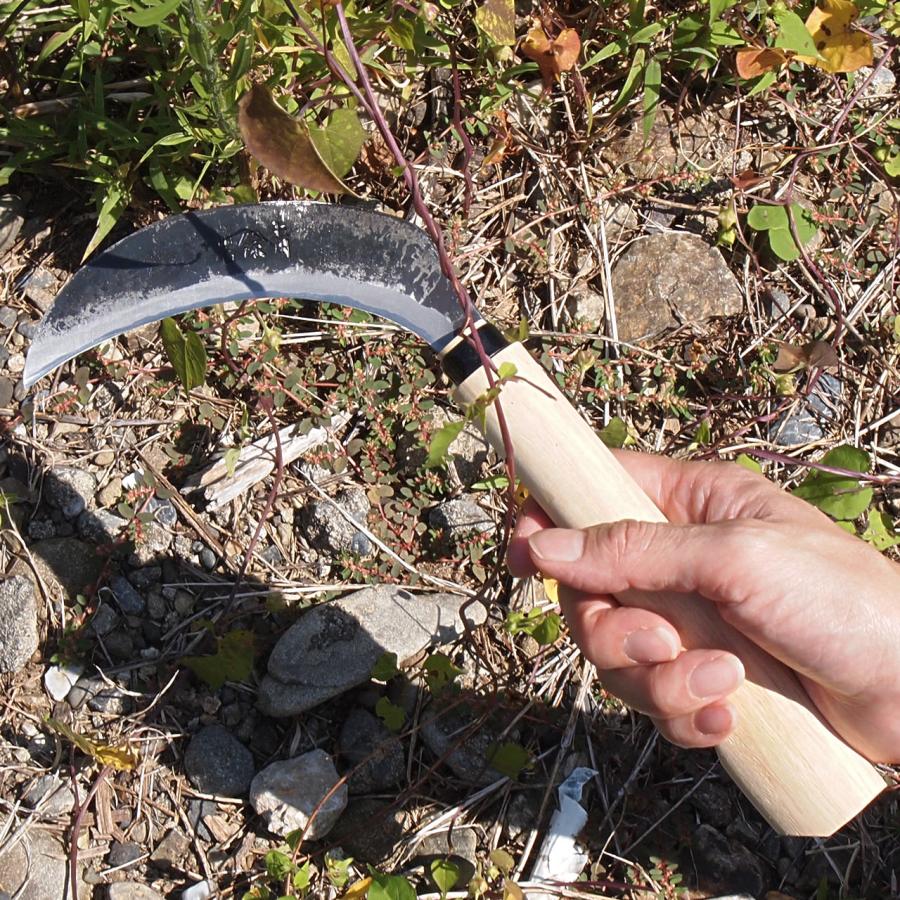 草刈りカマ ガーデニングミニ鎌 青紙 12cm 雑草取り 草取り道具 園芸 