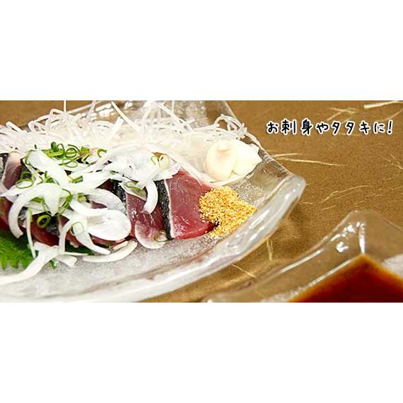 業務用 高知県産 乾燥柚子 ゆず粉末 中粒 1kg : 土佐っ子市場 業務用 高知県産 乾燥柚子 ゆず粉末 中粒 1kg : 土佐っ子市場