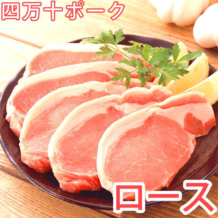 四万十ポーク ロース500g 国産 豚 高知県産 すき焼き しゃぶしゃぶ 豚肉 焼肉 ステーキ とんかつ ブロック お取り寄せグルメ 冷凍 食品 食材 家庭用 Simanto Loin500 肉の宝石 土佐和牛芸術倶楽部 通販 Yahoo ショッピング