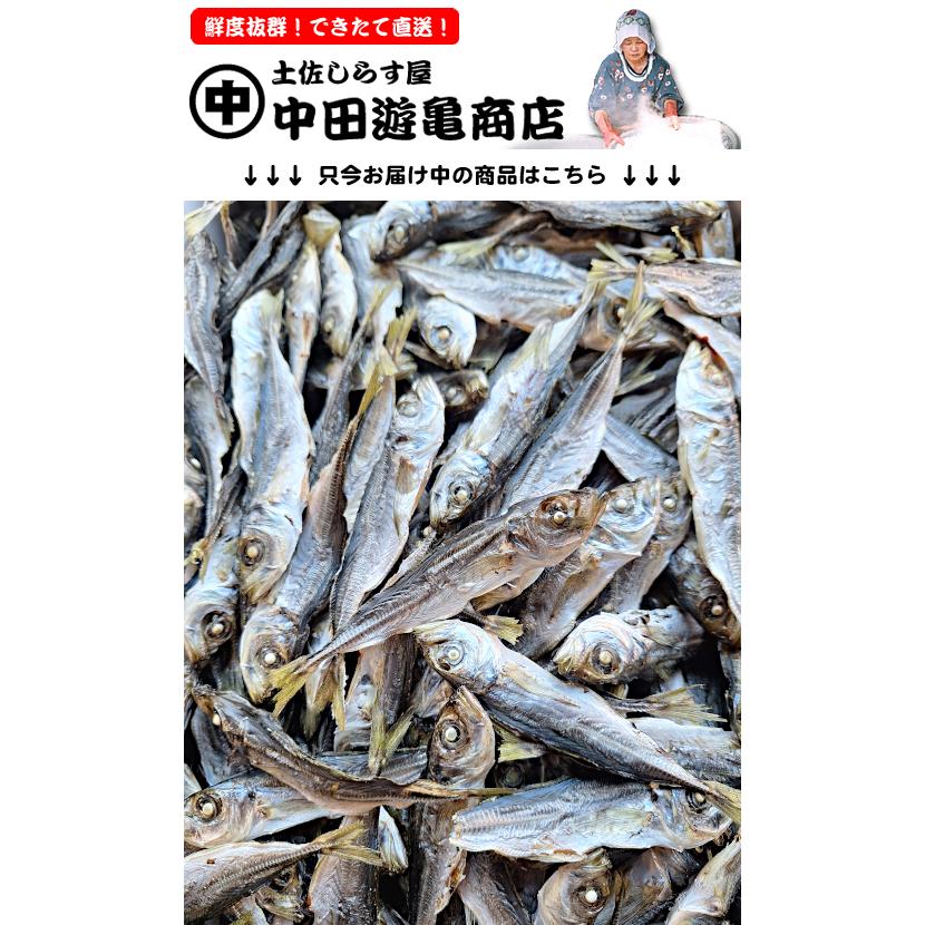 アジ煮干し 500g【出来立て直送・鯵だしじゃこ】※出汁用 子あじ