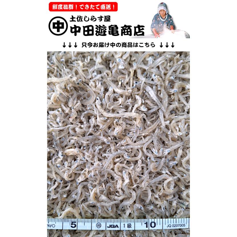 ちりめんじゃこ 1kg【お徳用・訳あり上干ちりめんじゃこ】※極小〜小