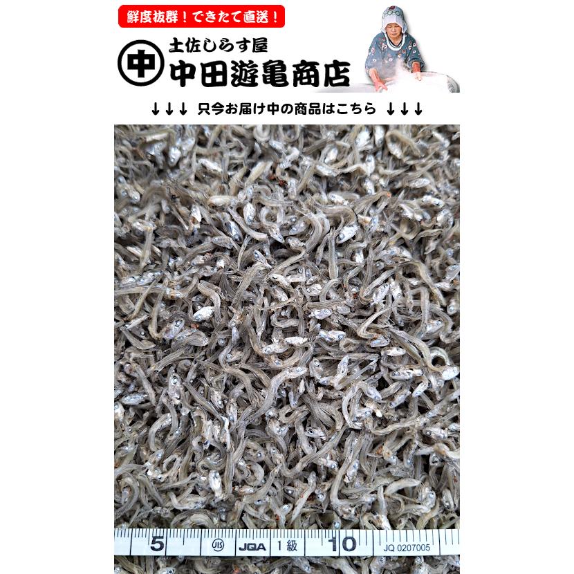 送料無料 500g 土佐おかずじゃこの定番カチリちりめんじゃこ 中サイズ しっとりやわらか食感 香り良し風味豊かな味わい 250g 2袋 Pcctq9hmpg 土佐しらす屋 中田遊亀商店 通販 Yahoo ショッピング