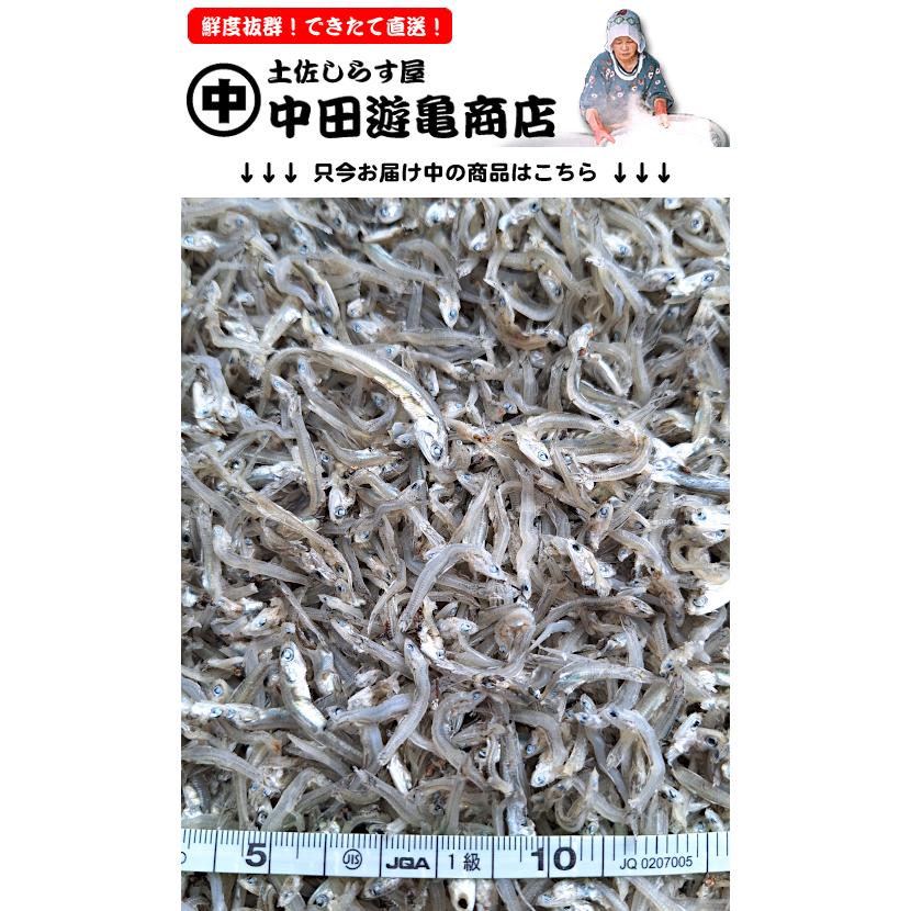 ちりめんじゃこ 1kg【お徳用・訳あり上干ちりめんじゃこ】※硬すぎない