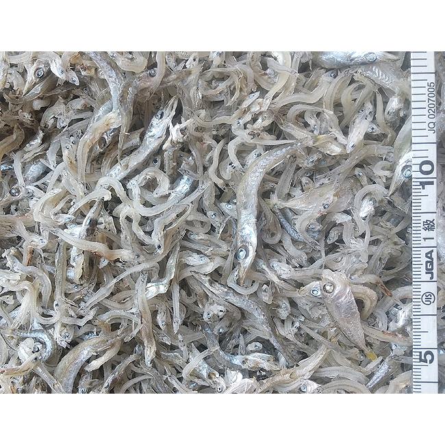 お買得 送料無料 1kg お徳用 訳ありカチリちりめんじゃこ 0g 5袋 風味豊かな中 上乾燥仕上げ 訳あり理由 大きさ不揃い 身切れ有り です Wantannas Go Id