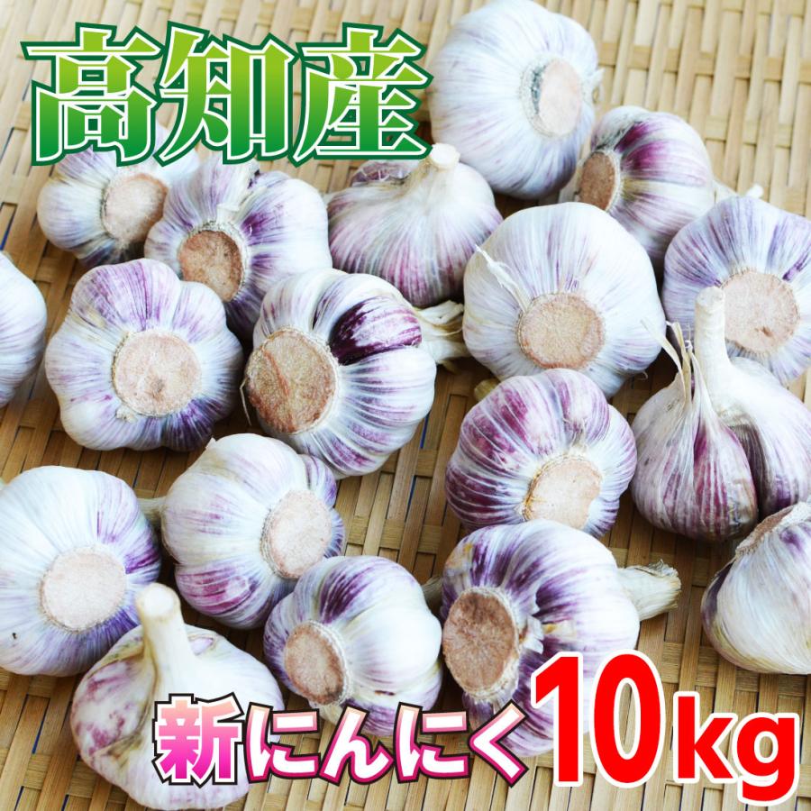 高知県産 生にんにく 10kg 新物 今だけ 国産 高知産 フレッシュ