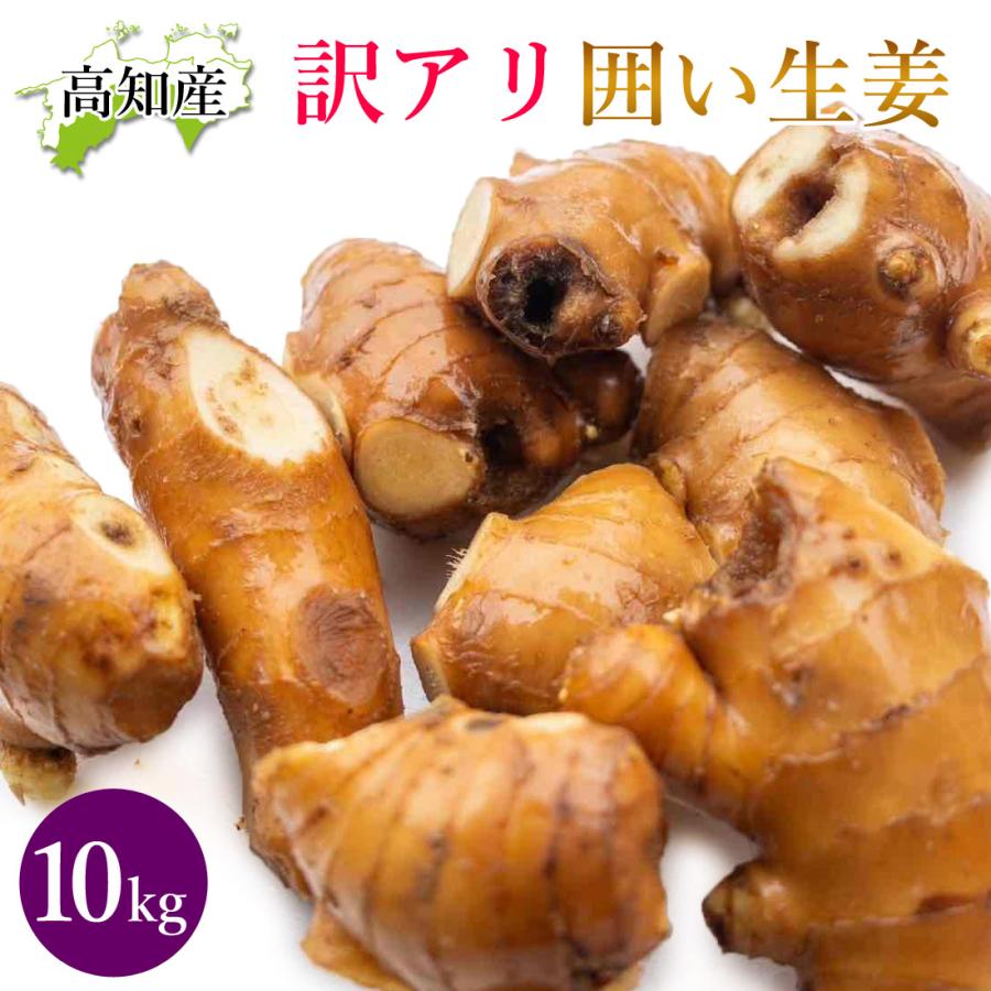 山北産直 生姜 訳あり 10kg 高知県産 国産 しょうが 農家直送 高知産 