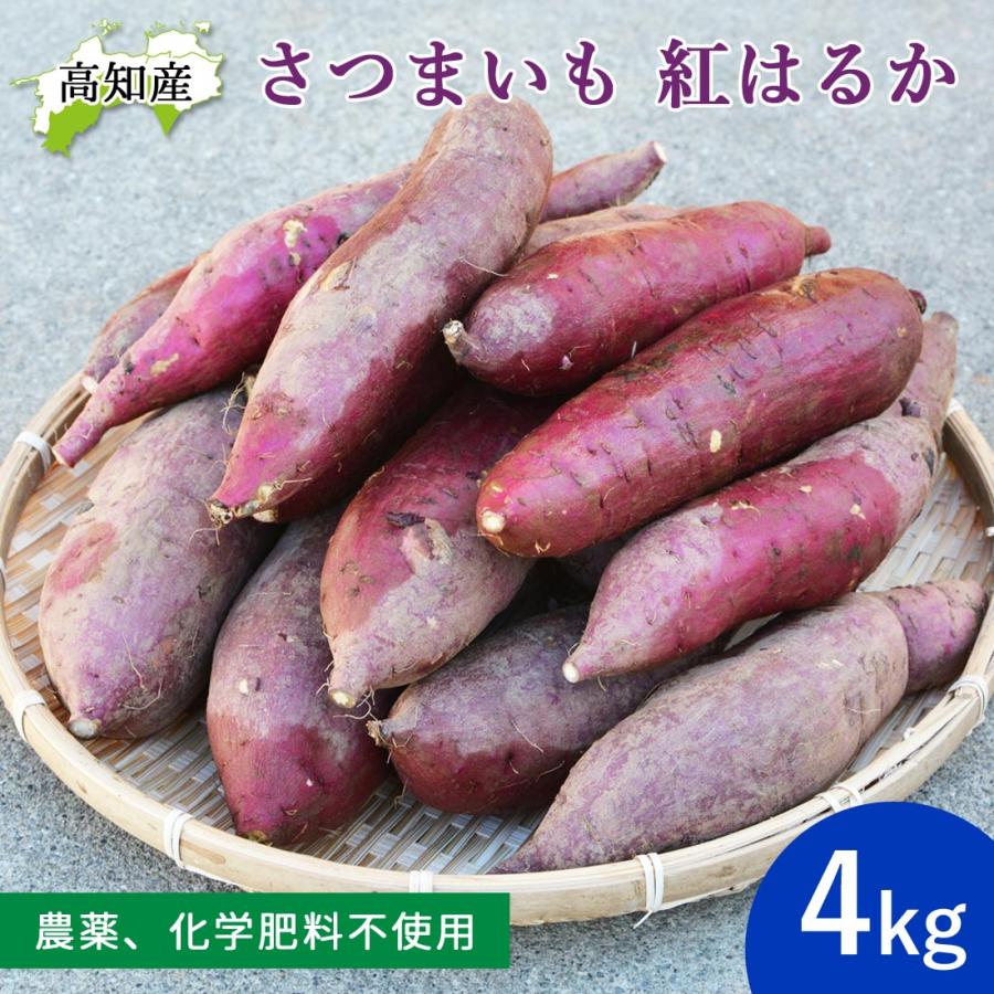いの産直 さつま芋 紅はるか 4kg 自然栽培 無農薬 栽培期間中 化学肥料