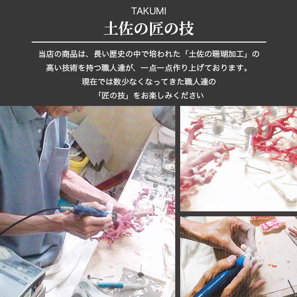 【新登場】 赤珊瑚 ネックレス ペンダント レッド レディース 海の宝石 サンゴ フォーマル 赤 コーラル お守り 還暦祝 お歳暮 2023 ギフト 【RI1020026373】(37050円)