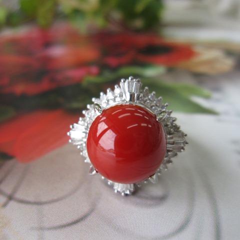 日本・土佐沖産赤珊瑚の デザインリング・指輪 （11.3ミリ）/プラチナ