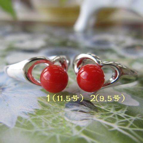 高知沖産赤珊瑚のシルバーリング(約6ミリ)/指輪/SILVER/【ハート