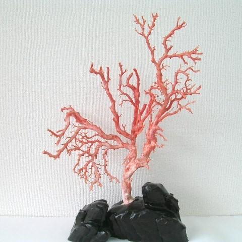 ピンク珊瑚の拝見・置物(艶出し加工済み)/原木/黒檀台/『宝石 ピンク珊瑚の拝見・置物(艶出し加工済み)/原木/黒檀台/『宝石