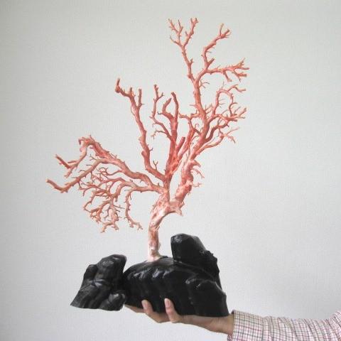 ピンク珊瑚の拝見・置物(艶出し加工済み)/原木/黒檀台/『宝石 ピンク珊瑚の拝見・置物(艶出し加工済み)/原木/黒檀台/『宝石