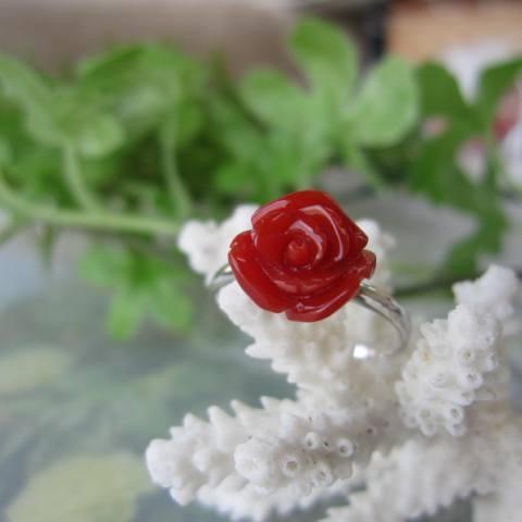 高知産血赤珊瑚の美しい薔薇の花の指輪 9 4 10 3ミリ リング K18wg 宝石サンゴ R2gbr50 77yf 珊瑚職人館ー土佐 通販 Yahoo ショッピング