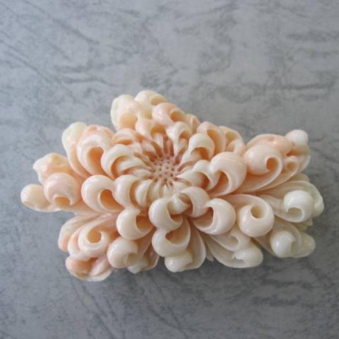 ミッド珊瑚豪華な菊の花の彫りの帯留め兼ブローチ/『宝石さんご