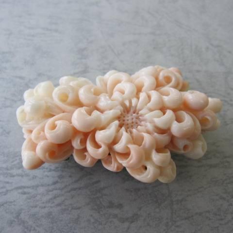 ミッド珊瑚豪華な菊の花の彫りの帯留め兼ブローチ/『宝石さんご