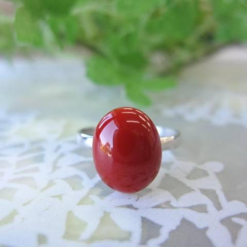 高知産血赤珊瑚のオーバルリング /K18WG/指輪/『宝石サンゴ』の画像