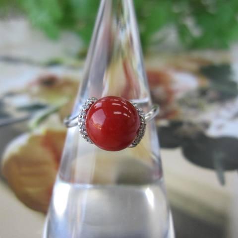 高知産赤珊瑚の プラチナリング・指輪 /（8.1ミリ）/ダイヤ0.06ct /Pt900/『宝石サンゴ』の画像