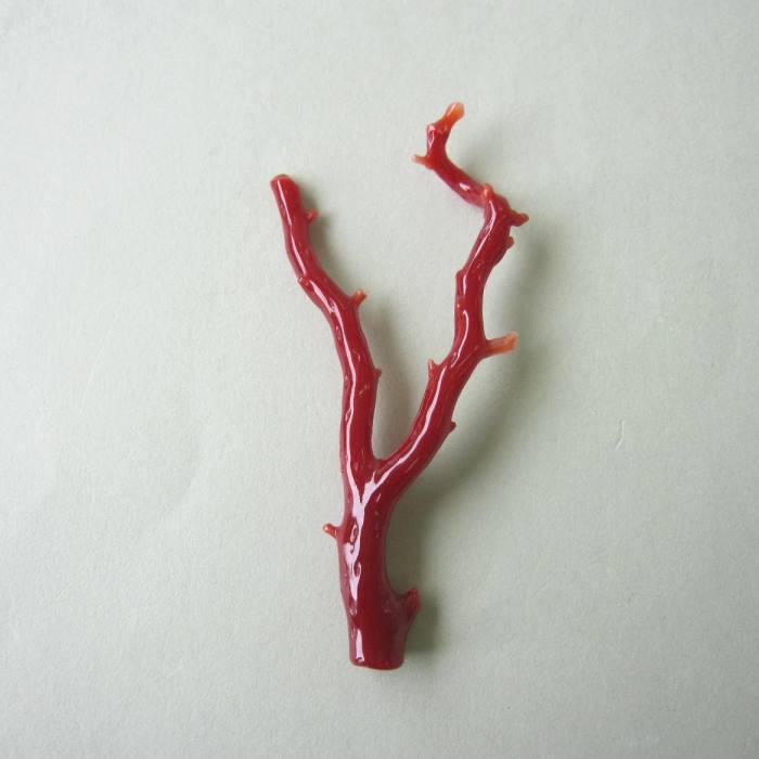 中国　赤珊瑚　サンゴ　置物　唐木台・ケース付　V　9075 中国 赤珊瑚 サンゴ 置物 唐木台・ケース付 V 9075 - メルカリ