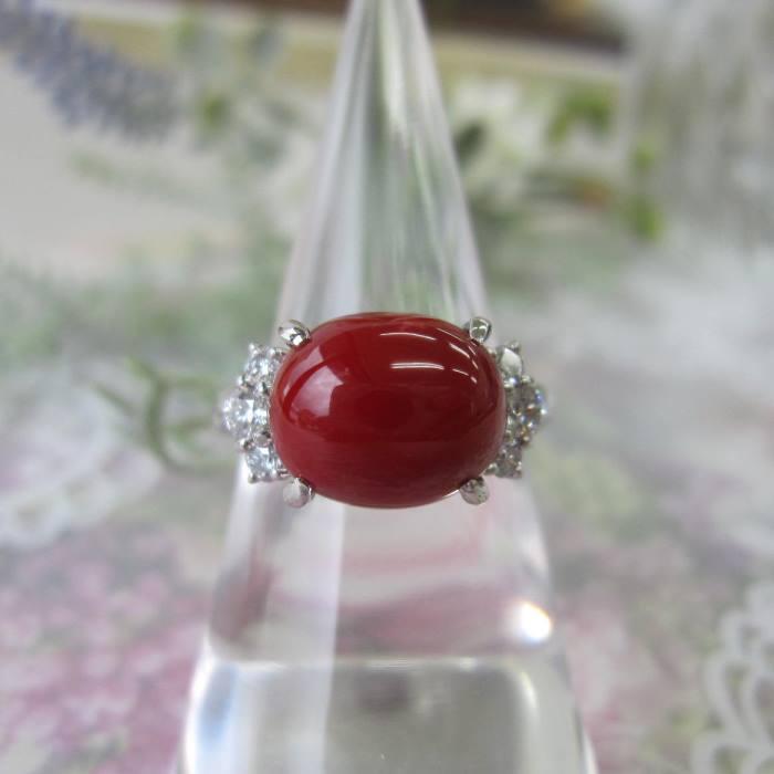 日本・高知産血赤珊瑚 豪華 プラチナデザインリング 指輪 （9×10.9ミリ