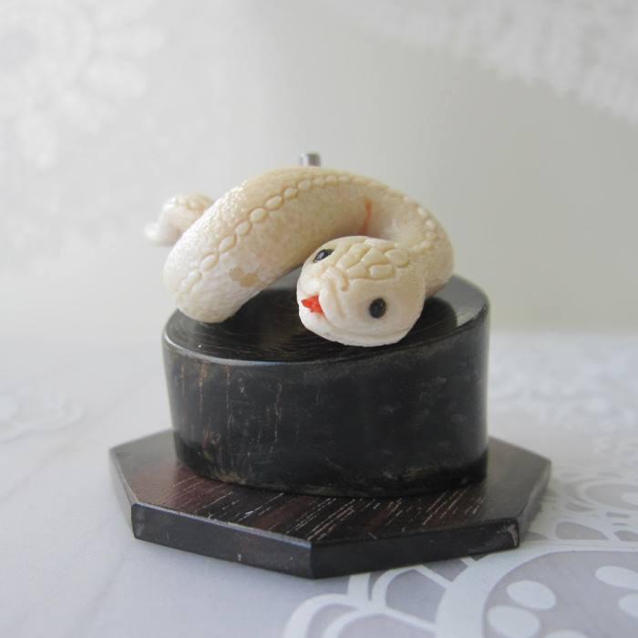 珊瑚宝石珊瑚白珊瑚インテリアシナ海珊瑚