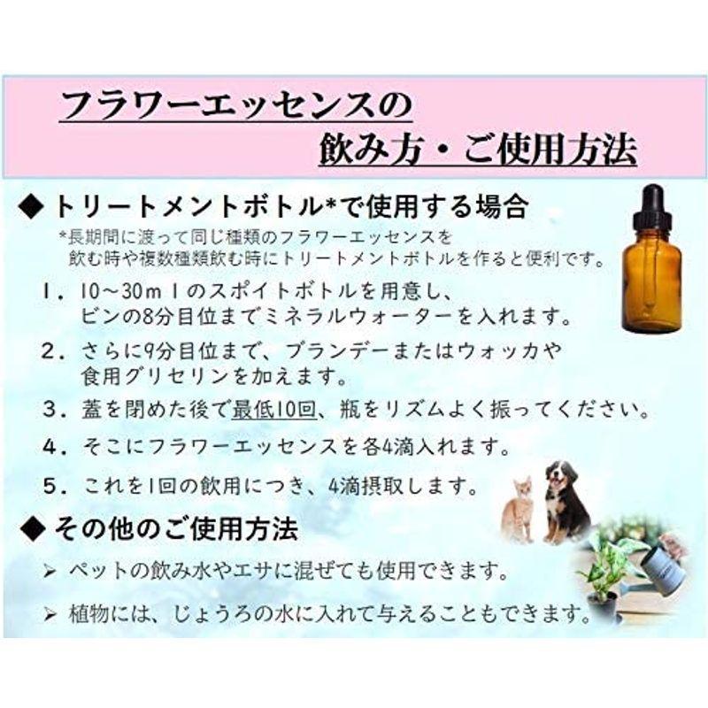 フラワーエッセンス Dtw イブニングプリムローズ女子力アップグッズ シングル セラピー 原液 飲用 植物療法 ヘルス ケア 植物 激安