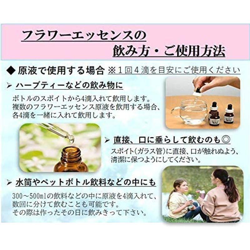 フラワーエッセンス Dtw イブニングプリムローズ女子力アップグッズ シングル セラピー 原液 飲用 植物療法 ヘルス ケア 植物 激安