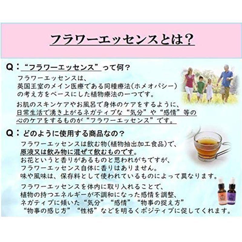 フラワーエッセンス Dtw イブニングプリムローズ女子力アップグッズ シングル セラピー 原液 飲用 植物療法 ヘルス ケア 植物 激安