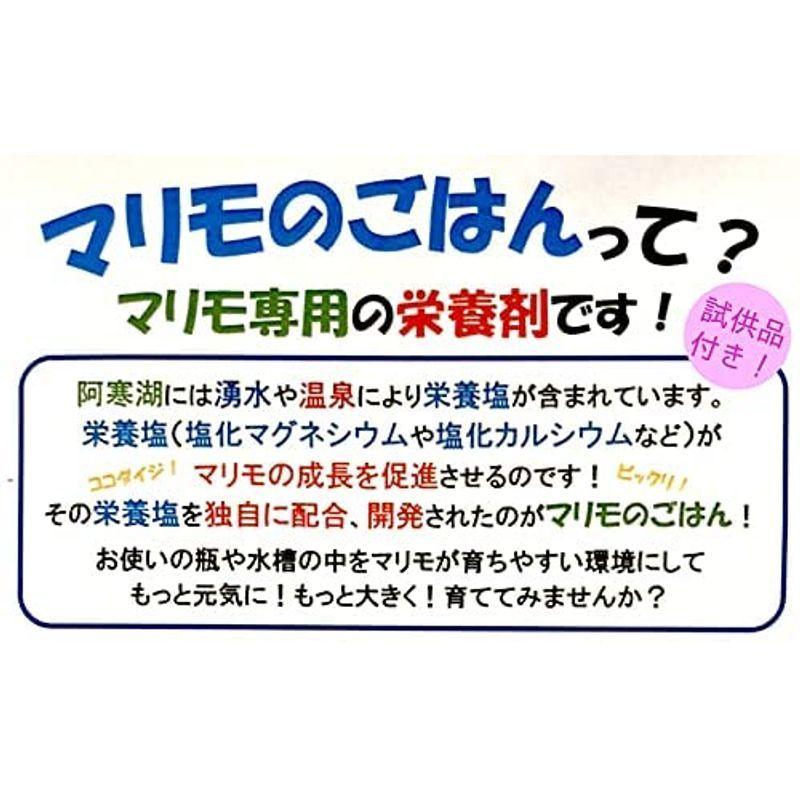 こーみーせんようはーと