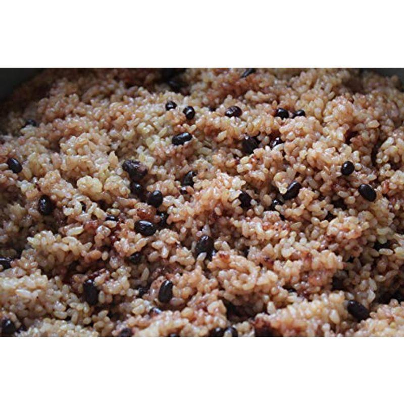 長岡式 酵素玄米ごはん 寝かせ玄米 8 Tosaショッピング 通販 Yahoo ショッピング