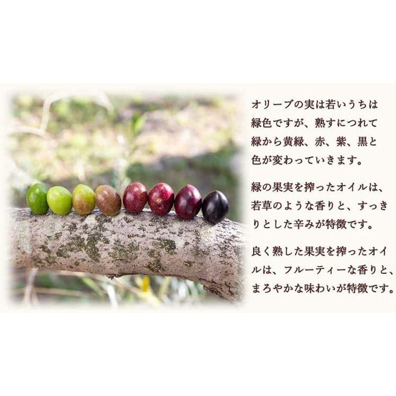 マーケット Youki ユウキ食品 ニンニク油 9g 6本入り Fucoa Cl