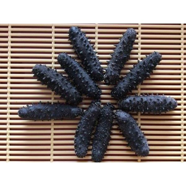 お気にいる 化粧箱入 乾燥なまこ 300g70個前後入 Ssサイズ A級品 関西産 なまこ ナマコ 海参 乾燥ナマコ 干しなまこ 干しナマコ 驚きの値段 Www Thedailyspud Com