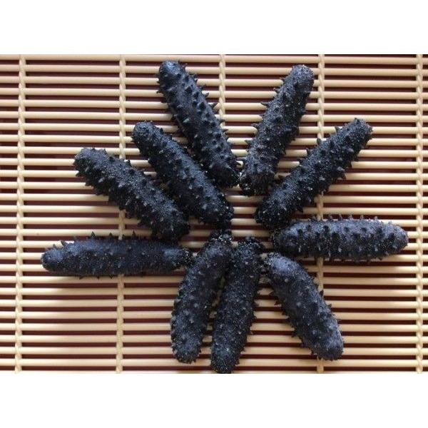 大好き 天然 国産 乾燥 干しなまこ 干しナマコ 乾燥ナマコ 海参 ナマコ なまこ 関西産 A級品 Ssサイズ 300g90個前後入 乾燥なまこ 干海参 ナマコ なまこ 魚介類 海産物 Postetelecom Gouv Cg