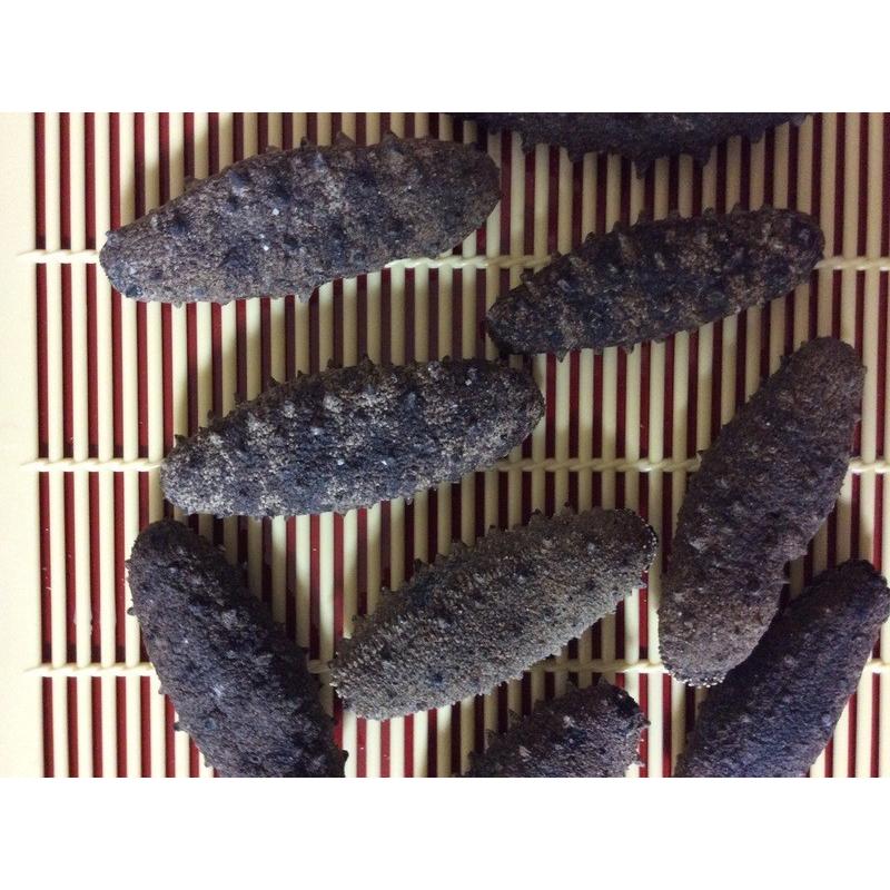 500G入 関西産 なまこ ナマコ 海参 干海参 乾燥なまこ 乾燥ナマコ 干し 