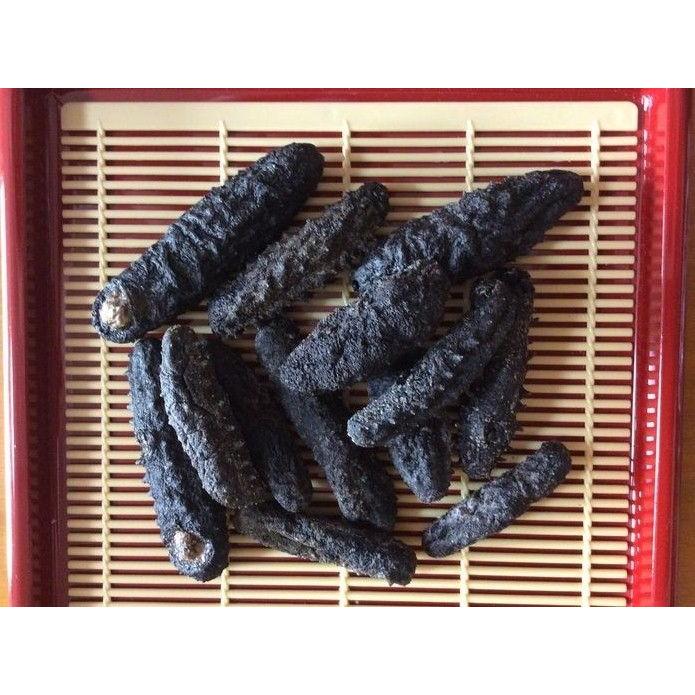 乾燥 黒 なまこ 1kg80 160個前後入 B級品 なまこ 黒なまこ ナマコ 黒ナマコ 海参 黒海参 関西産 乾燥なまこ 乾燥ナマコ 干しなまこ 干し ナマコ Www Ezybake Com Index Php