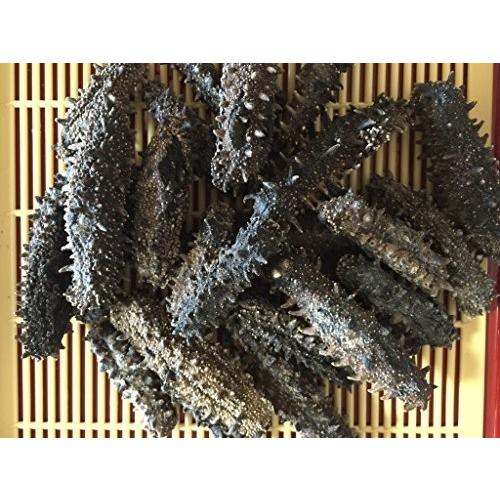 メール便不可 北海道 刺参 干しなまこ 干しナマコ 乾燥ナマコ 海参 ナマコ なまこ B級品 3g以下 300g入 乾燥なまこ お試し北海道産 干海参 ナマコ 乾燥なまこ 天然 魚介類 海産物