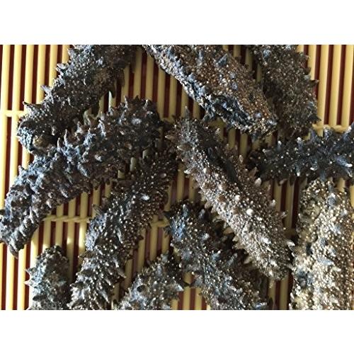 北海道産 乾燥なまこ 1KG入 C級品 なまこ ナマコ 海参 乾燥ナマコ 干しなまこ 干しナマコ 刺参