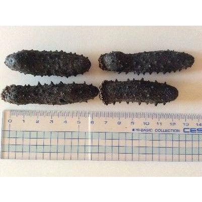 黒いナマコ 乾燥A品 Amazon.co.jp: 青森産 乾燥黒なまこ 100G B級品 黒