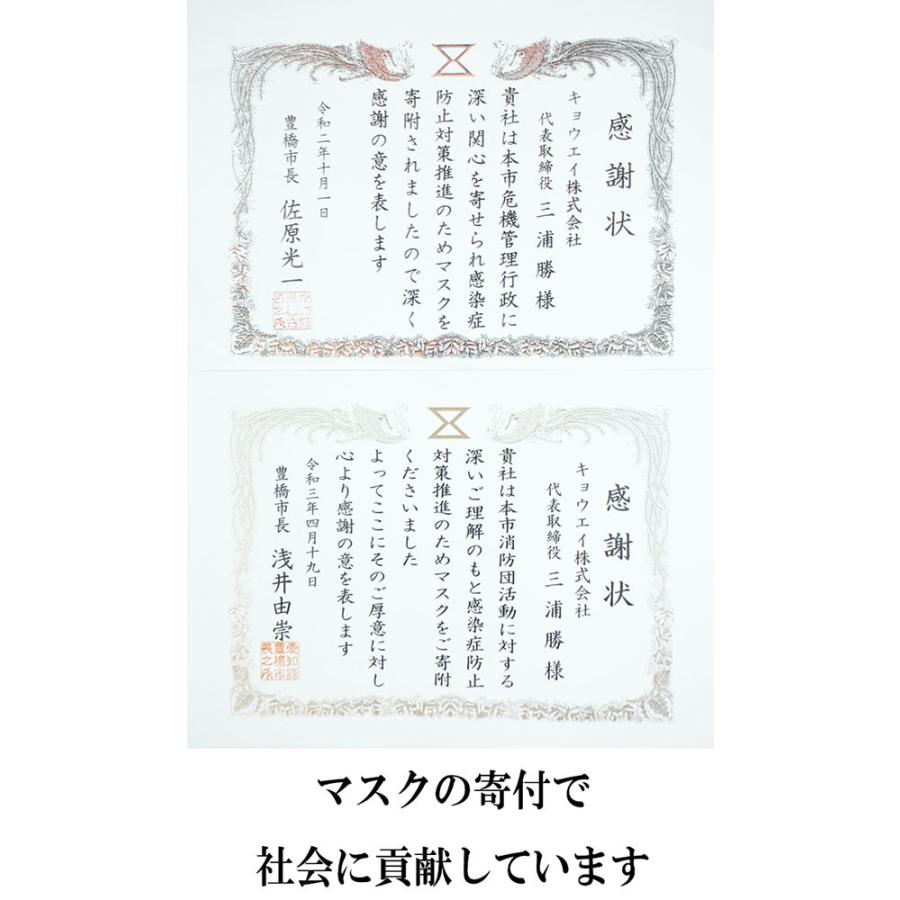 JN95を超えた5層マスク 日本製 1パック5枚入り 3セット 不織布 使い捨て｜tosen｜14